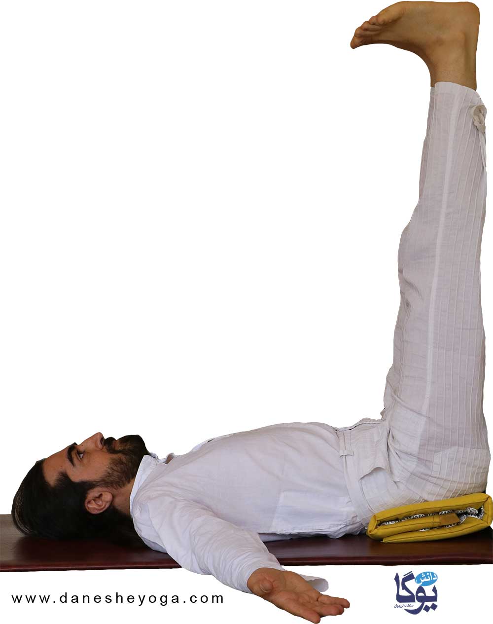 حرکت ویپاریتا کارانی یا حالت پاها بر دیوار برای درمان دیسک گردن